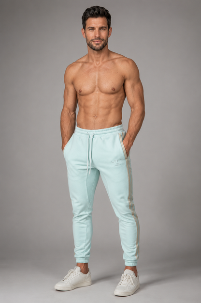 The Iron Stripe Gym Pant — Kings & Men